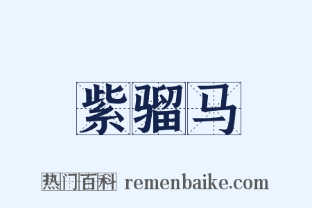 紫骝马是什么意思的图片